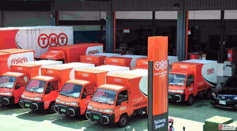 鄭州TNT快遞服務優(yōu)勢解析 卓越的國內(nèi)貨運代理解決方案