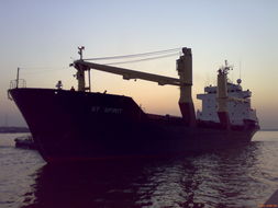 廣州迅啟國際貨運代理——專業(yè)高效的國內(nèi)貨運代理服務